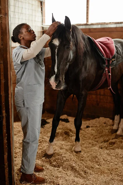 Vertikální Portrét Ženského Veterinárního Lékaře Vyšetřujícího Koně Stájích Hledajícího Uší — Stock fotografie