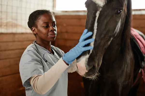 在马厩里照料马的女兽医的温暖而柔和的画像 面带微笑 — 图库照片