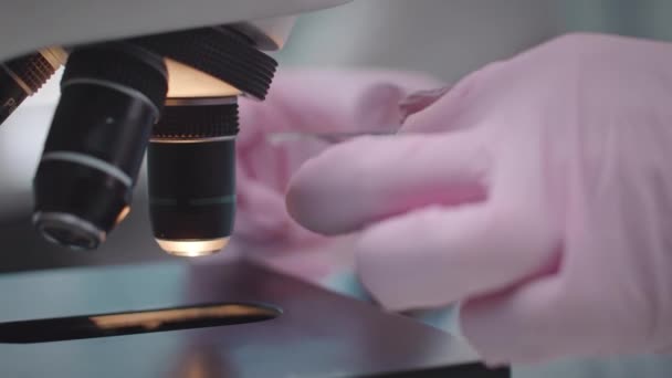 科学実験室の顕微鏡の下でスライドガラスの血液を調べる認識できない手袋の微生物学者の閉鎖 — ストック動画