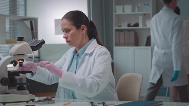 三位身穿白衣的年轻科学家一起在现代研究实验室工作 白种人妇女坐在工作台前 在显微镜下检查样品 — 图库视频影像