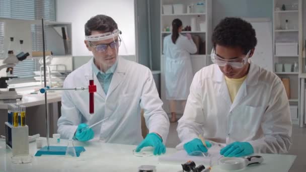 Pas Záběr Multiethnic Vědeckého Týmu Zkoumání Mikrobiologických Kultur Petriho Misce — Stock video
