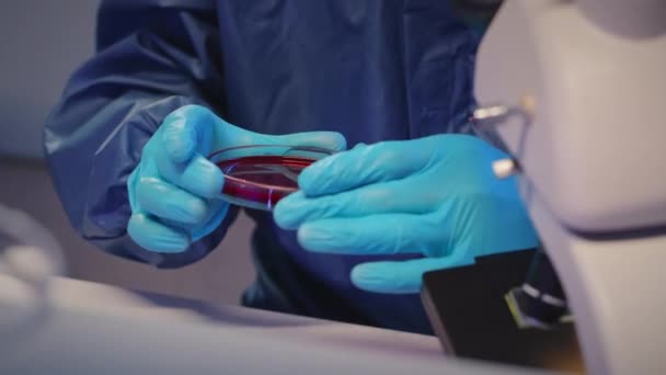 Nierozpoznawalny Mikrobiolog Rękawiczkach Kombinezonach Trzymający Płytkę Petriego Nierozpoznawalną Czerwoną Substancją — Wideo stockowe