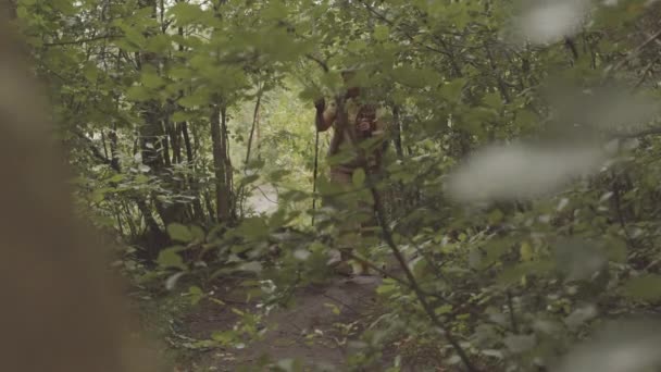 Ativo Ásia Sênior Mulher Chegando Através Árvores Enquanto Nórdico Caminhando — Vídeo de Stock
