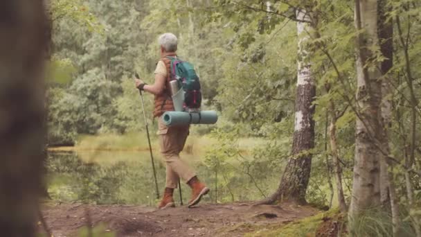 Full Length Shot Aktywnej Starszej Azjatki Biegunami Wędrówki Ścieżce Leśnej — Wideo stockowe