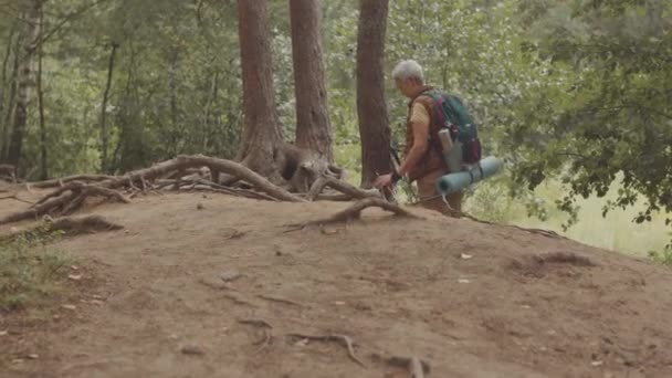Aktywne Dziecko Boomer Azji Kobieta Trekking Bieguny Ręce Spoczywa Las — Wideo stockowe