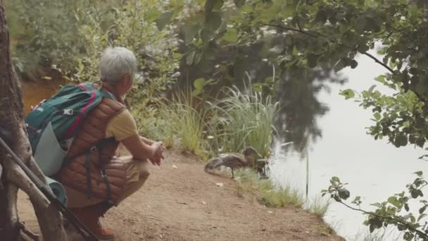 Widok Tyłu Starszy Kobieta Trekker Plecakiem Squatting Dół Podczas Patrząc — Wideo stockowe