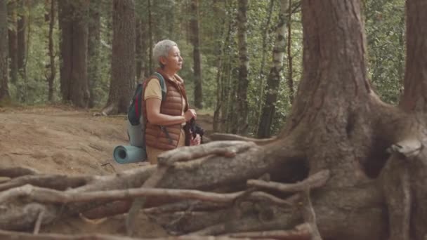 Середній Знімок Дорослого Азіатського Жінки Мандрівника Полюсами Руках Дивлячись Лісовий — стокове відео