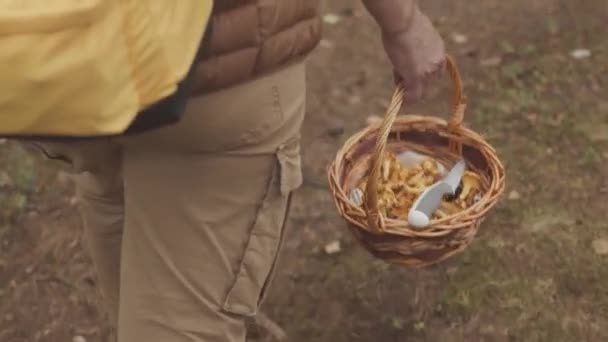 Împușcătură Femeie Nerecunoscută Coș Paie Ciuperci Mergând Pădurea Toamnă — Videoclip de stoc