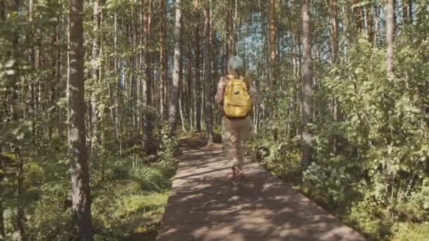 Rückansicht Einer Touristin Mit Gelbem Rucksack Die Sonnigen Tagen Auf — Stockvideo