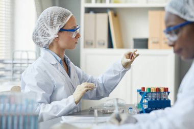 Laboratuvarda tıbbi araştırma yaparken deney tüpü tutan genç bir kadının yan görünümü.