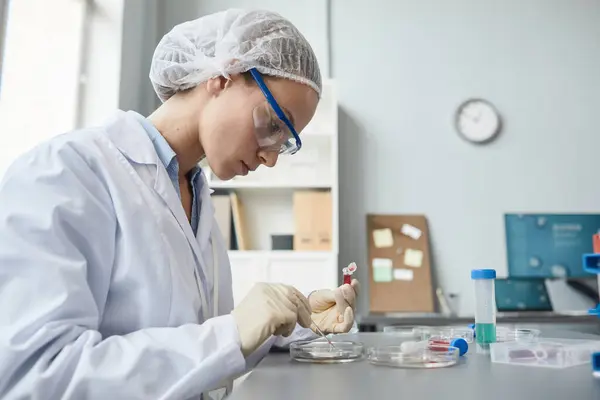 Zijaanzicht Portret Vrouwelijke Lab Technicus Doet Experimenten Medisch Laboratorium Kopieerruimte — Stockfoto