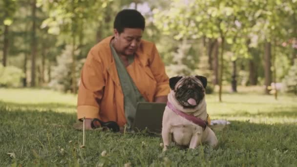 Slowmo Της Ενήλικης Μαύρης Γυναίκας Χαριτωμένο Pug Κάθεται Στο Πράσινο — Αρχείο Βίντεο