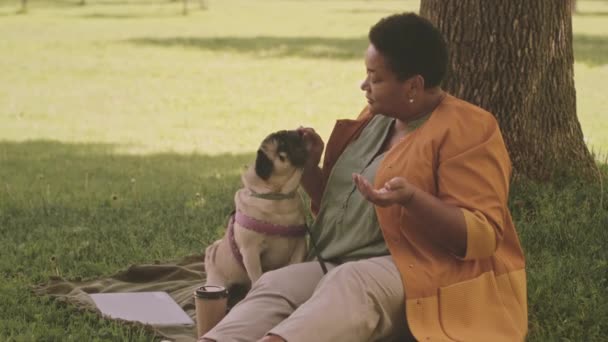 一个快乐的成年黑人女人坐在被阳光照亮的公园的树下 一边慢慢地喂着她可爱的小狗 — 图库视频影像
