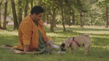Yetişkin, siyah bir kadının parkta köpekleri beslemesi gündüz vakti yeşil çimenlerde oturup dinlenmesi.