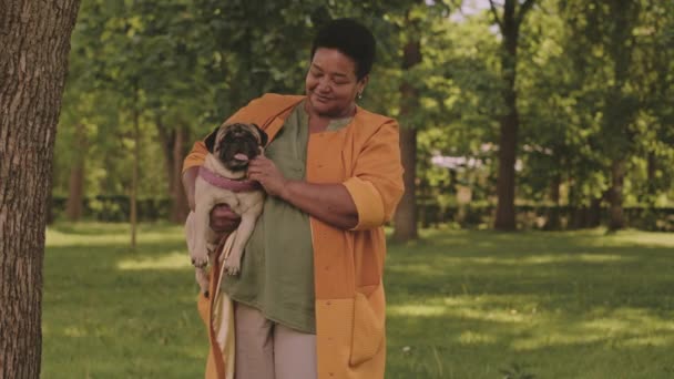 好奇心旺盛な成熟したアフリカ系アメリカ人女性とパグは晴れた日に公園で屋外で時間を過ごす — ストック動画
