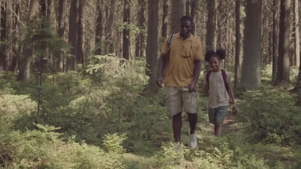Plná Délka Zpomalení Afroameričan Muž Malou Dcerou Procházky Letním Lese — Stock video