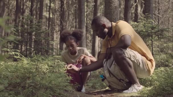 Slowmo Giovane Uomo Nero Sua Piccola Figlia Accovacciato Sentiero Forestale — Video Stock