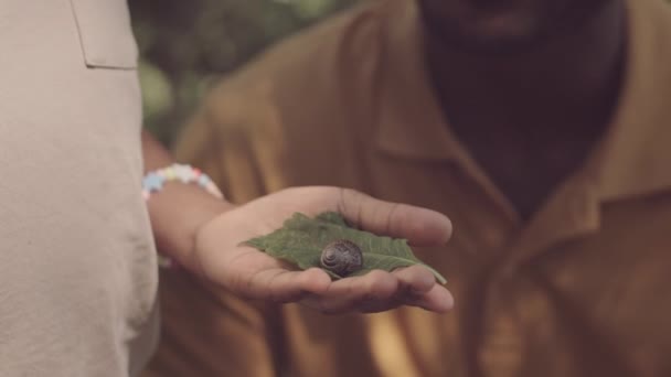 Primer Plano Una Chica Irreconocible Sosteniendo Caracol Hoja Verde Palma — Vídeo de stock