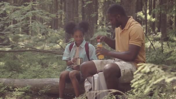 8歳の娘と若い黒人男性のスローモー 森の横の木のトランクに座ってピクニック — ストック動画
