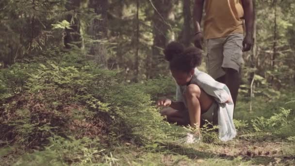 Powolniak Afroamerykańskiej Dziewczynki Ojcem Badającym Zielone Rośliny Lesie Słoneczny Dzień — Wideo stockowe