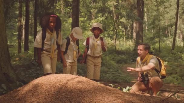 多民族の若いスカウトと大人のリーダーが夏のトレッキング中に森林の動植物を探検 — ストック動画