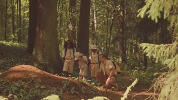 Skupina Mnohonárodnostních Žáků Scouterem Zkoumajících Půdu Lese Při Společné Letní — Stock video