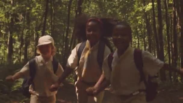 Mutlu Çoklu Etnik Yavru Izcilerin Yavaşı Güneşli Bir Günde Orman — Stok video