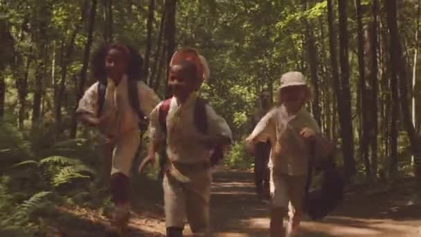 Медленно Группа Мультиэтнических Детенышей Скаутов Бежит Лесной Дорожке Солнечным Светом — стоковое видео