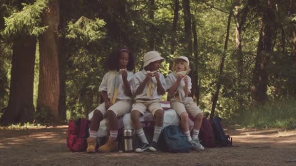 スカウト制服の3人の子供たちが自家製サンドイッチを食べ 夏の森のキャンプでチャット — ストック動画