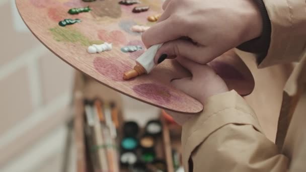 Nahaufnahme Einer Nicht Wiederzuerkennenden Künstlerin Die Beim Malen Freien Farbe — Stockvideo