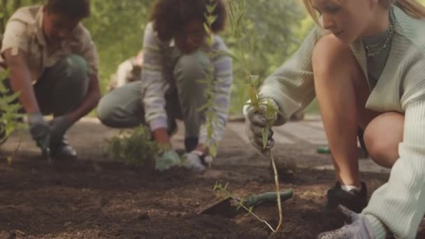 Activistas Eco Adolescentes Multiétnicos Plantando Árboles Parque Público Juntos Ayudando — Vídeos de Stock