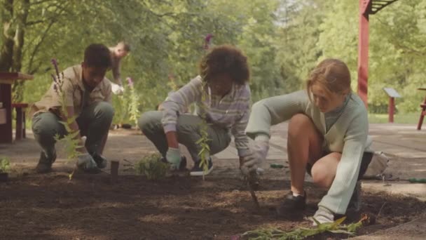 不同类别的学童在公园内种植时 以小巧的肩带互相帮助 共同参与环保义工计划 以维护及改善公园 — 图库视频影像