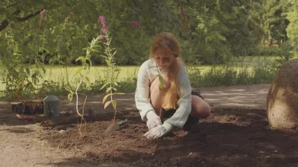 Мальчик Подросток Девочка Вместе Сажают Цветы Общественном Парке Солнечный День — стоковое видео