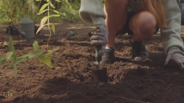 小さな肩の刃を使ったボランティアガールのクロップショットは 夏にパブリックパークにさらなる植樹のために土壌を掘り出しながら — ストック動画
