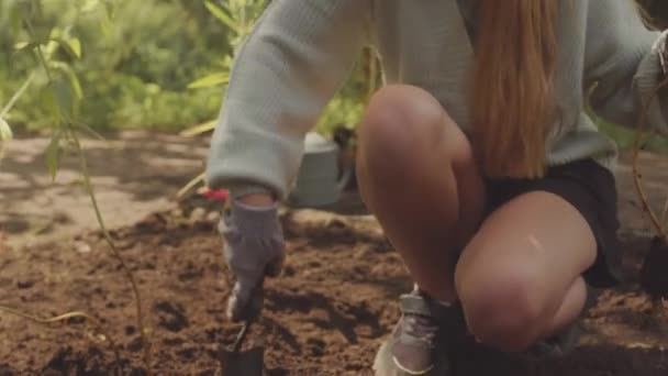 Подросток Эко Активистка Выкапывает Яму Почве Небольшим Лопаточком Время Посадки — стоковое видео