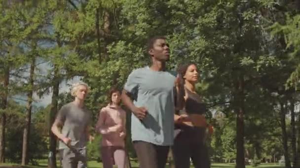 Dwie Młode Zróżnicowane Pary Biegają Razem Parku Ciepły Słoneczny Dzień — Wideo stockowe
