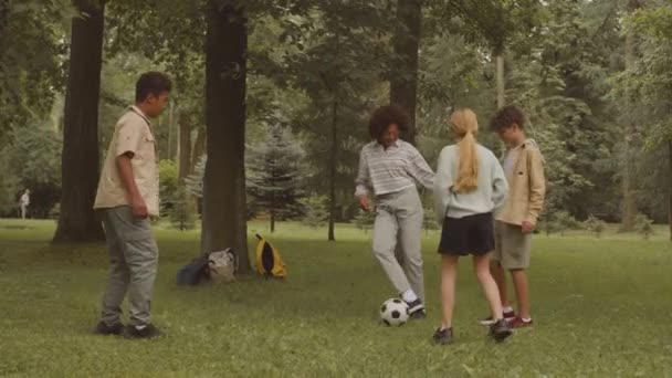 Grupa Beztroskich Wieloetnicznych Dzieci Grających Piłkę Nożną Zielonej Trawie Parku — Wideo stockowe