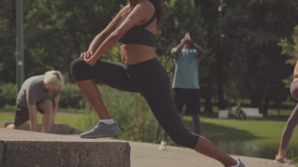 夏に公共の公園で屋外のグループのワークアウトをしている間 タイトな黒いアクティブウェアで若い運動Biracial女性の傾斜 — ストック動画