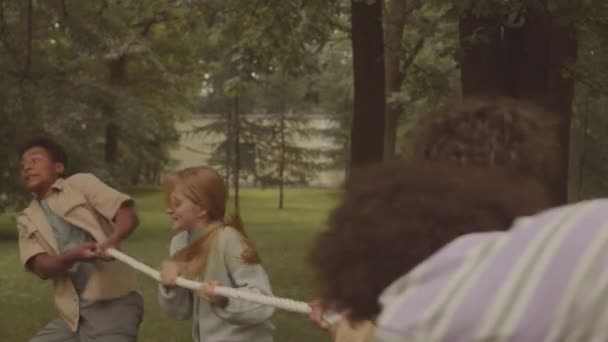 サマーパークで屋外で遊んでいるときにロープを引っ張る多様な学校の子供のミディアムスローモ — ストック動画