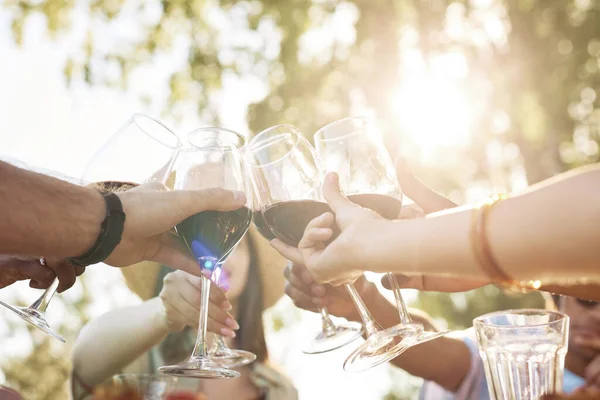 Close up of people toasting with wine glasses lit by sunlight during Summer celebration, copy space