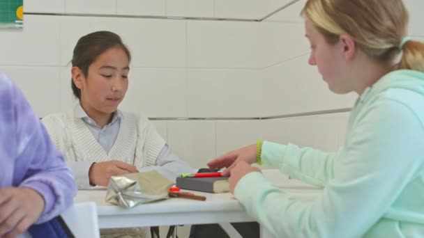 Talie Prieteni Școlari Multietnici Vorbind Timpul Pauzei Ședințe Birouri Clasă — Videoclip de stoc