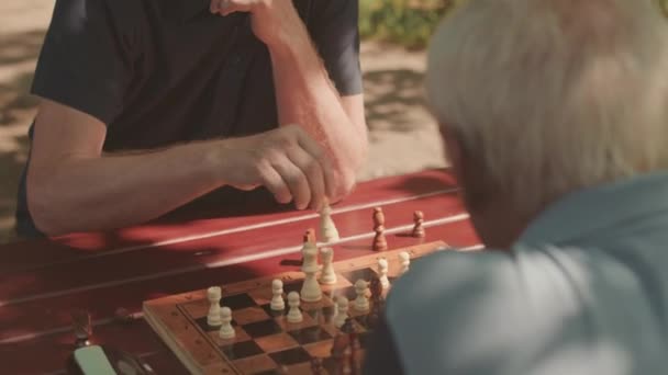 晴れた日に公園のテーブルでチェスをする2人のペンシルベニアの高齢者を待つ — ストック動画