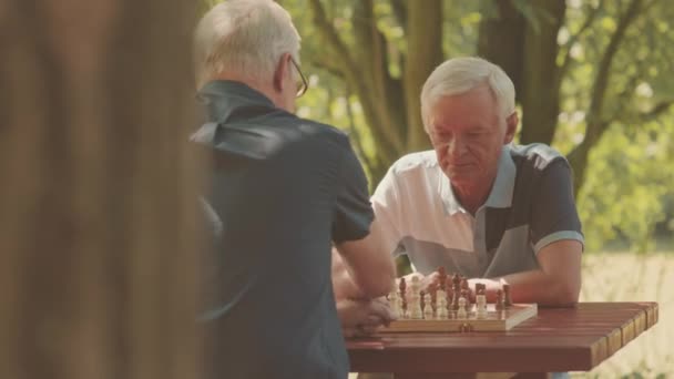 晴れた日に公園で外でチェスゲームをする2人の白人成熟した男性のウエスト — ストック動画