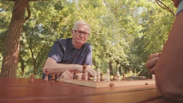 レジャータイムで夏の公園でチェスをする2人の白人上級男性のスタブショット — ストック動画