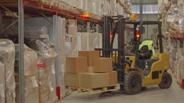 People Shot Forklift Machine Cardboard Boxes Pallet Warning Red Light — Stock Video