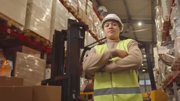 Låg Vinkel Zoom Porträtt Unga Biracial Kvinnliga Lagerarbetare Poserar För — Stockvideo