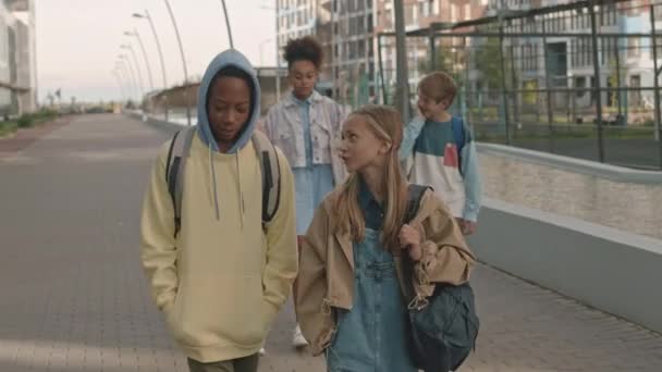 Rastreamento Tiro Grupo Multirracial Alunos Pré Adolescentes Conversando Enquanto Caminham — Vídeo de Stock