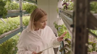 Kadın Dikey Çiftçi Bitkileri İnceleme ve Tablet Üzerine Not Alma