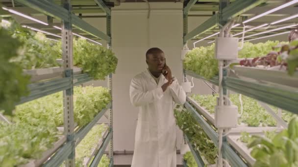 Medium Shot Black Male Vertical Farm Worker White Lab Coat — Stock Video