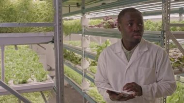 Genç siyahi erkek, dikey çiftlik işçisinin içeri bakıp dijital tablet kullanırken orta boy fotoğrafı.